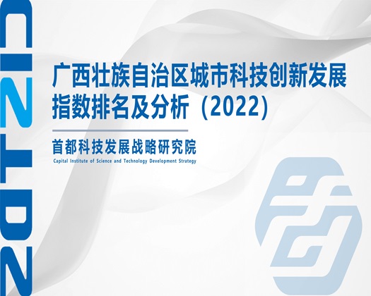 穴淫逼【成果发布】广西壮族自治区城市科技创新发展指数排名及分析（2022）